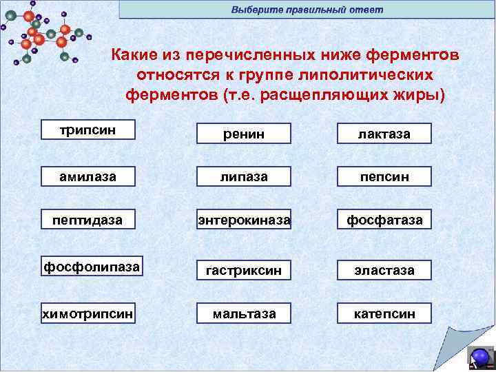 Какие из перечисленных ниже ферментов относятся к группе липолитических ферментов (т. е. расщепляющих жиры)