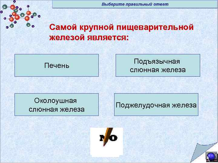 Самой крупной пищеварительной железой является: Печень Подъязычная слюнная железа Околоушная слюнная железа Поджелудочная железа