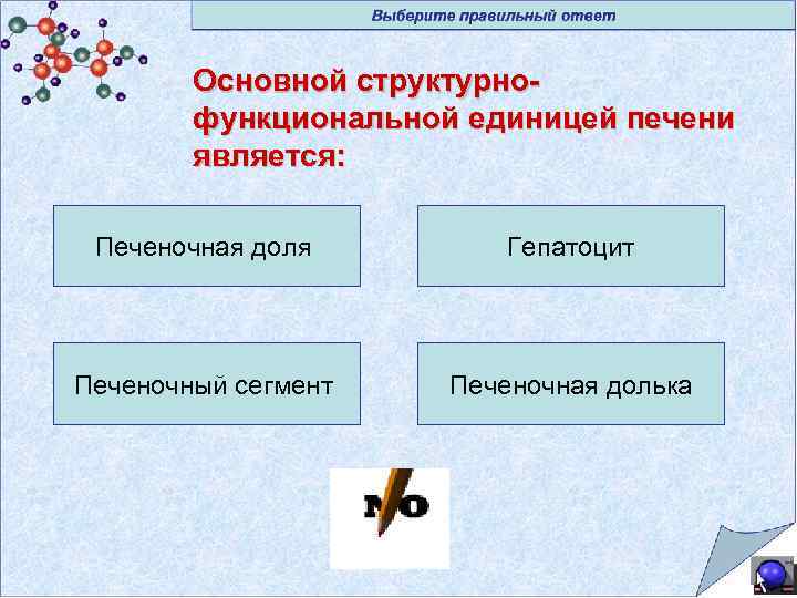 Основной структурнофункциональной единицей печени является: Печеночная доля Гепатоцит Печеночный сегмент Печеночная долька 