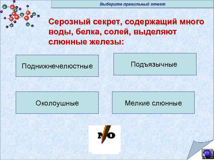 Серозный секрет, содержащий много воды, белка, солей, выделяют слюнные железы: Поднижнечелюстные Подъязычные Околоушные Мелкие