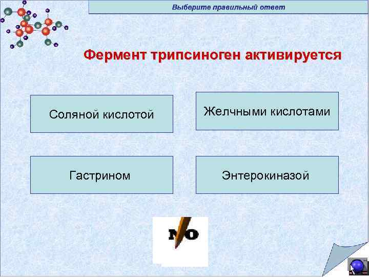 Фермент трипсиноген активируется Соляной кислотой Желчными кислотами Гастрином Энтерокиназой 