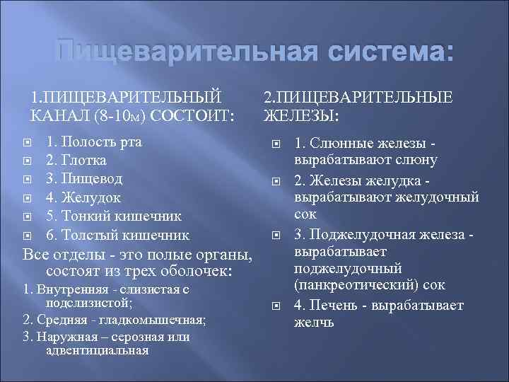 Пищеварительная система: 1. ПИЩЕВАРИТЕЛЬНЫЙ КАНАЛ (8 -10 М) СОСТОИТ: 1. Полость рта 2. Глотка