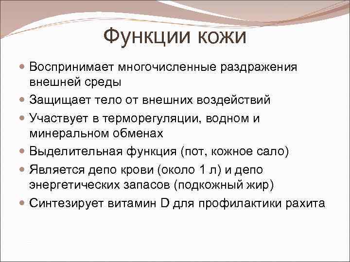 Функции кожи Воспринимает многочисленные раздражения внешней среды Защищает тело от внешних воздействий Участвует в