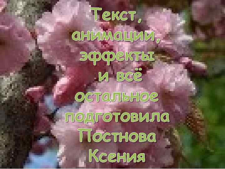 Текст, анимации, эффекты и всё остальное подготовила Постнова Ксения 