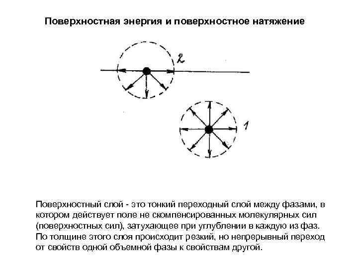 Поверхностная энергия и поверхностное натяжение Поверхностный слой это тонкий переходный слой между фазами, в