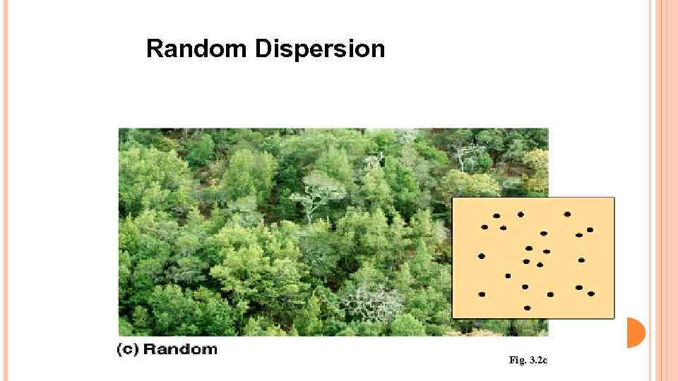 Random Dispersion Fig. 3. 2 c 