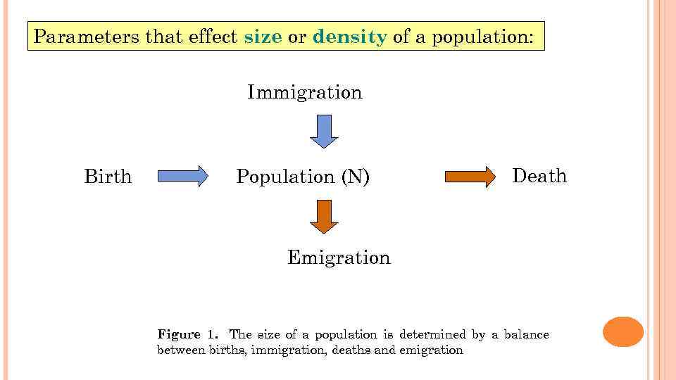 Parameters that effect size or density of a population: Immigration Birth Population (N) Death