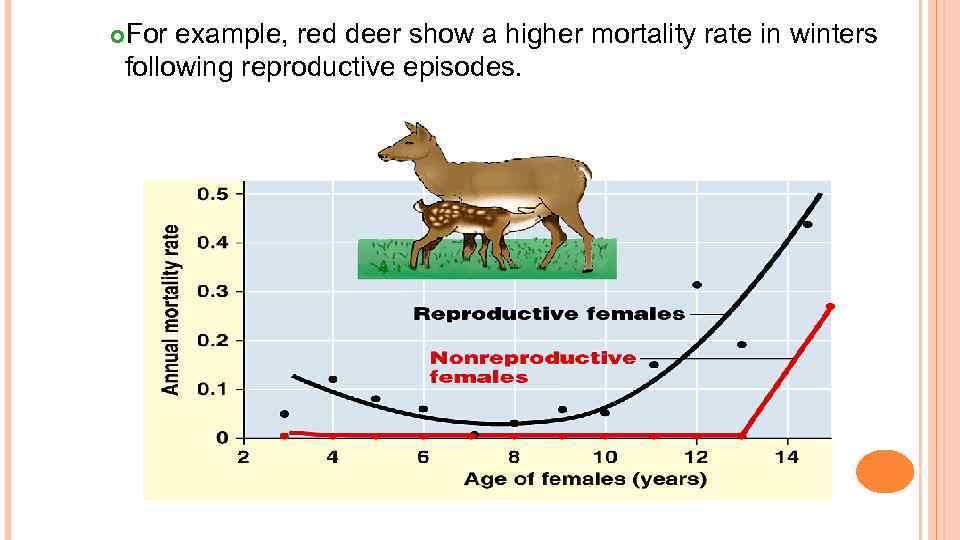 For example, red deer show a higher mortality rate in winters following reproductive episodes.