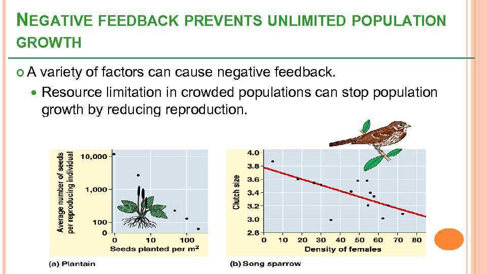 NEGATIVE FEEDBACK PREVENTS UNLIMITED POPULATION GROWTH A variety of factors can cause negative feedback.