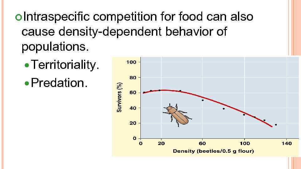  Intraspecific competition for food can also cause density-dependent behavior of populations. Territoriality. Predation.