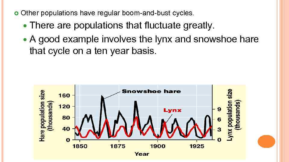 Other populations have regular boom-and-bust cycles. There are populations that fluctuate greatly. A