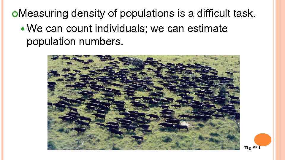  Measuring density of populations is a difficult task. We can count individuals; we