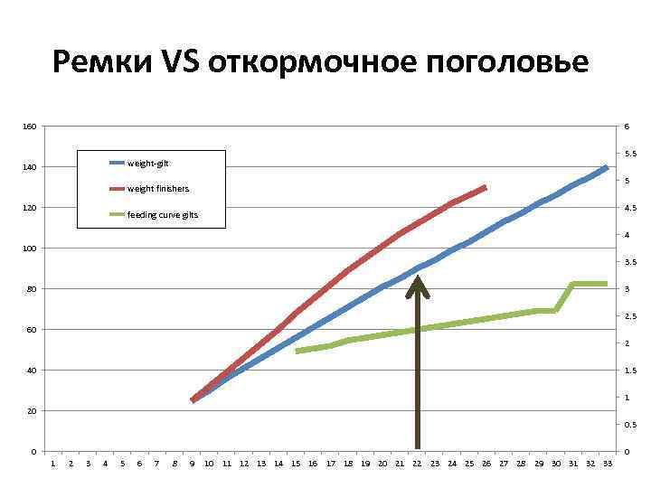 Ремки VS откормочное поголовье 160 6 5. 5 weight-gilt 140 5 weight finishers 120
