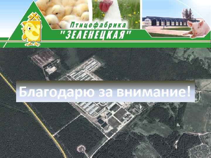 Благодарю за внимание! 