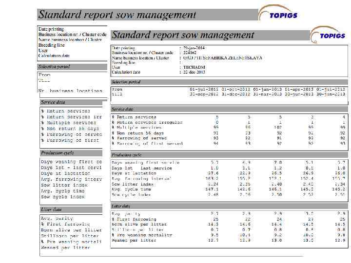 Отчет Пигбейз FST 3102 