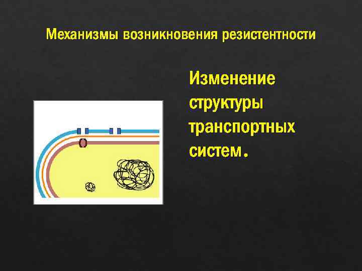 Механизмы возникновения резистентности Изменение структуры транспортных систем. 