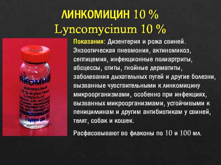 Антибиотики при рожистом воспалении ноги. Антибиотики при рожистом воспалении. Антибиотикотерапия при рожистом воспалении. Антибиотики при рожистом воспалении ноги таблетки.