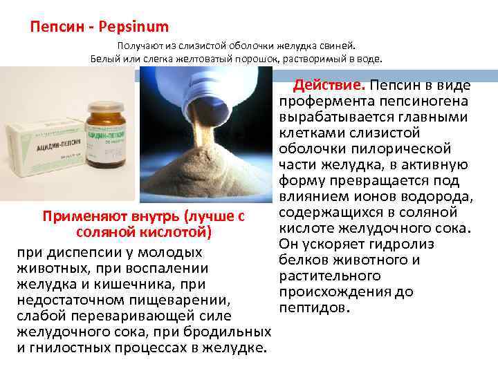 Пепсин - Pepsinum Получают из слизистой оболочки желудка свиней. Белый или слегка желтоватый порошок,