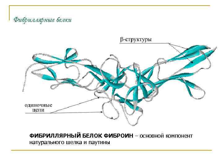 Фибриллярные белки. Фиброин шелка структура. Фибриллярные белки образуют структуры. Фиброин структура аминокислот. Аминокислотный состав фибриллярных белков.