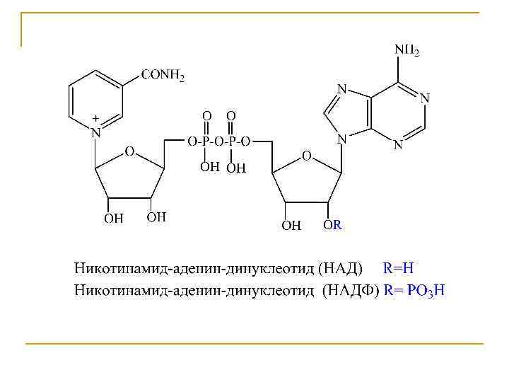 Схема образования 5 цмф