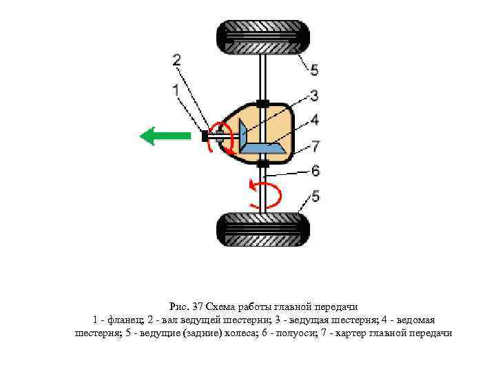  Рис. 37 Схема работы главной передачи 1 - фланец; 2 - вал ведущей