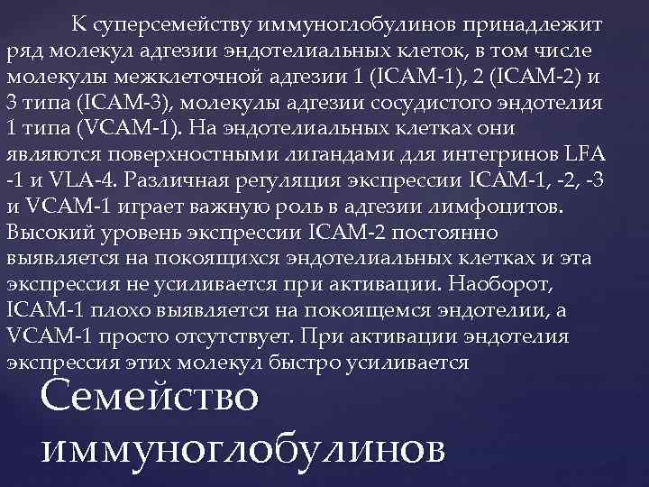 К суперсемейству иммуноглобулинов принадлежит ряд молекул адгезии эндотелиальных клеток, в том числе молекулы межклеточной