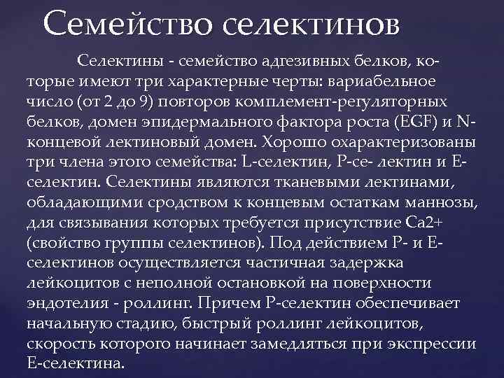 Семейство селектинов Селектины семейство адгезивных белков, ко торые имеют три характерные черты: вариабельное число