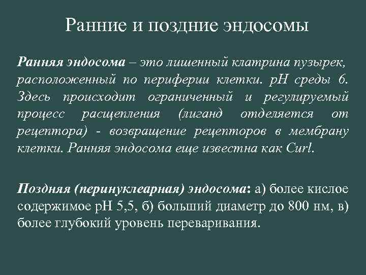 Ранние и поздние эндосомы Ранняя эндосома – это лишенный клатрина пузырек, расположенный по периферии
