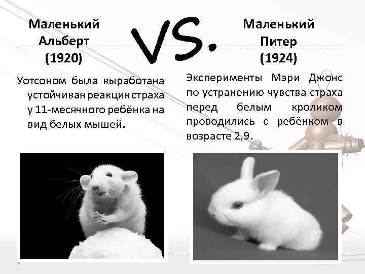 Маленький Альберт (1920) Уотсоном была выработана устойчивая реакция страха у 11 -месячного ребёнка на