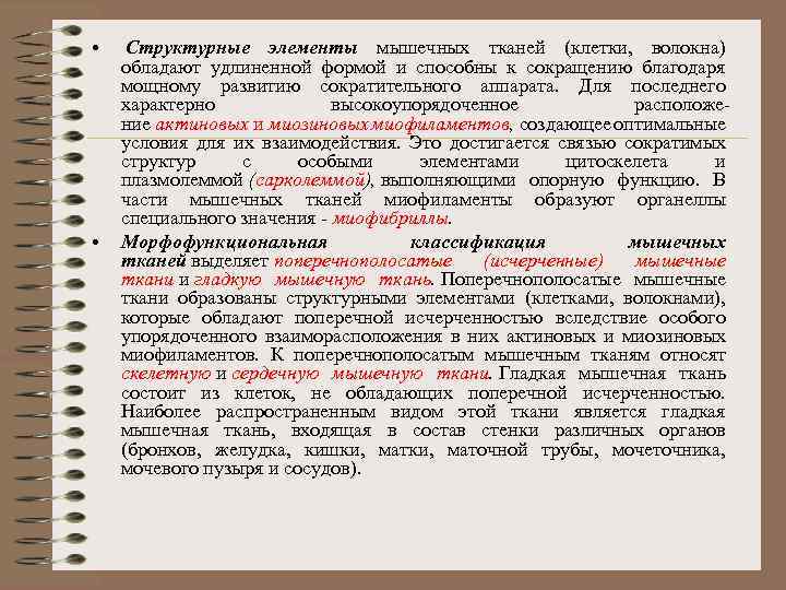  • • Структурные элементы мышечных тканей (клетки, волокна) обладают удлиненной формой и способны