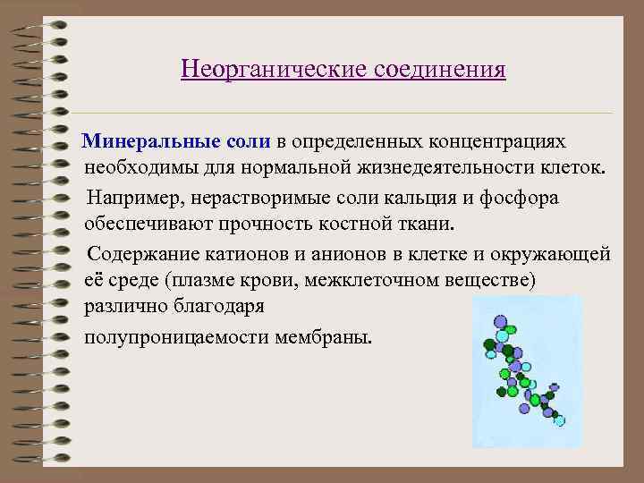 Неорганические соединения Минеральные соли в определенных концентрациях необходимы для нормальной жизнедеятельности клеток. Например, нерастворимые
