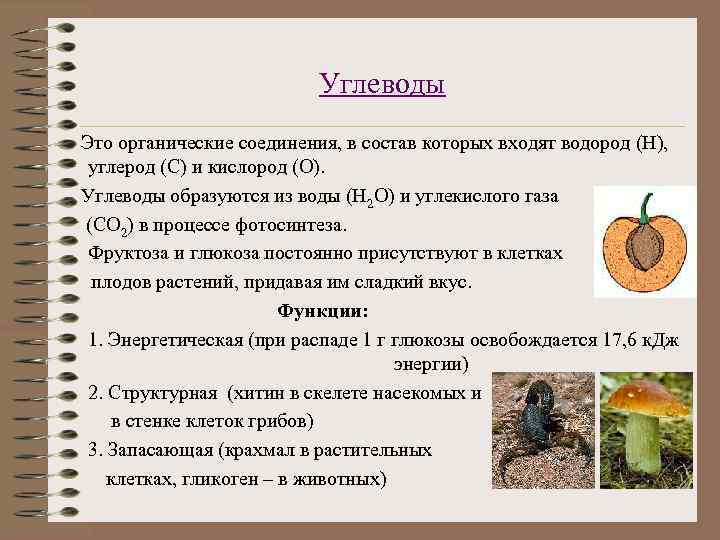 Углеводы Это органические соединения, в состав которых входят водород (Н), углерод (С) и кислород