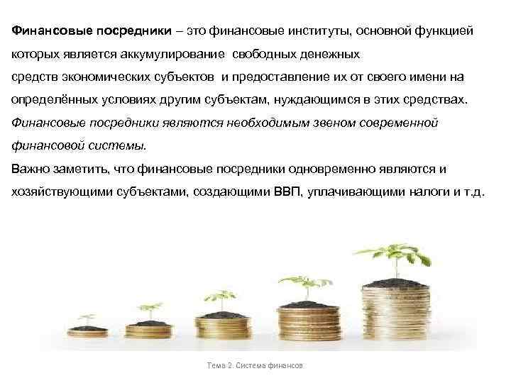 Финансовые посредники – это финансовые институты, основной функцией которых является аккумулирование свободных денежных средств