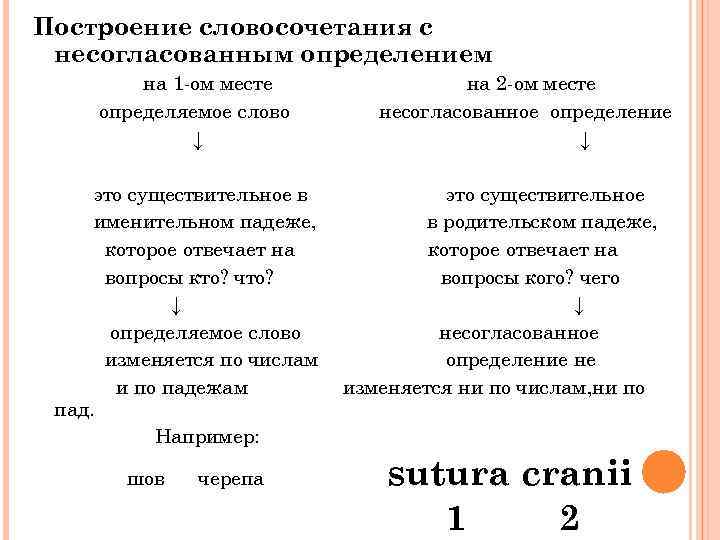 Построение словосочетания с несогласованным определением на 1 -ом месте определяемое слово ↓ это существительное