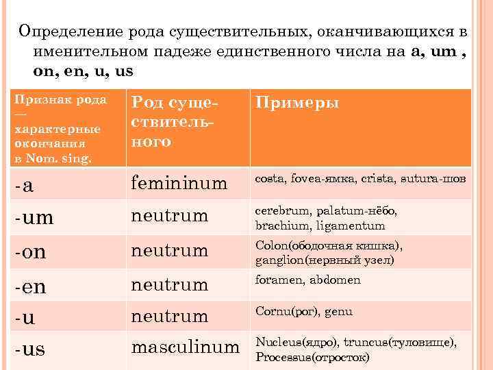 Число именительный падеж рода