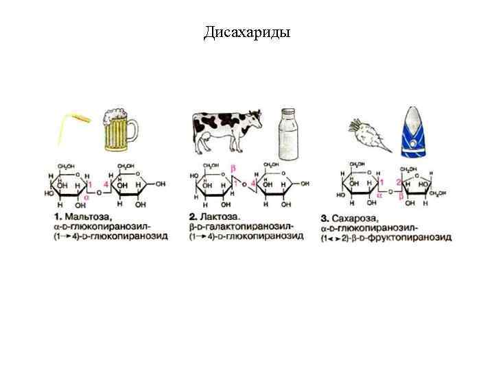 Дисахариды 