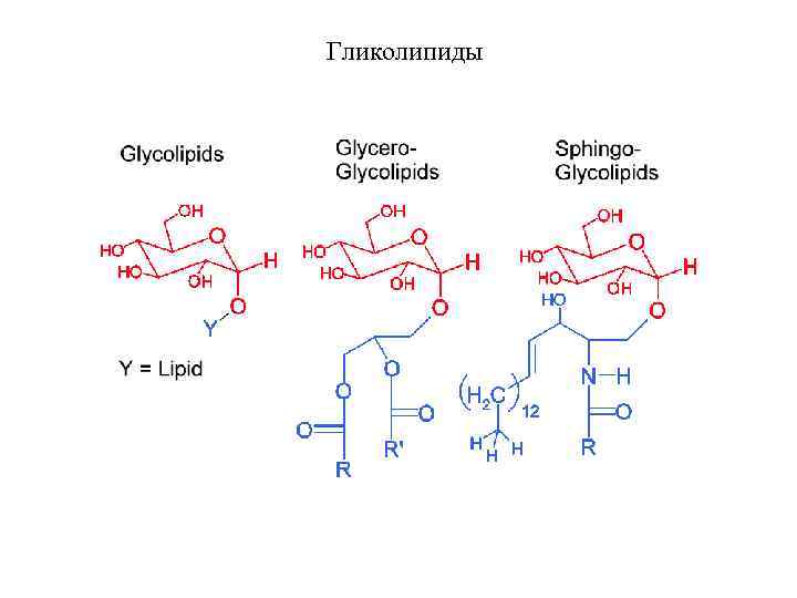 Гликолипиды 
