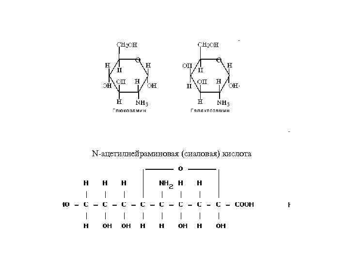N-ацетилнейраминовая (сиаловая) кислота 