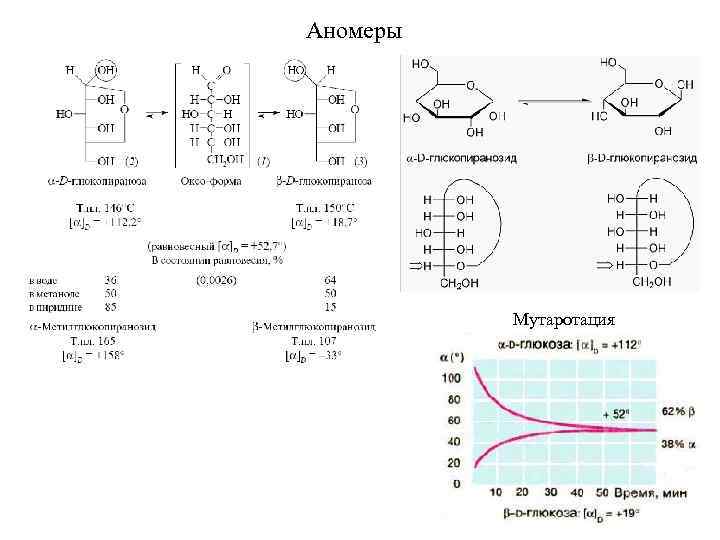 Аномеры Мутаротация 
