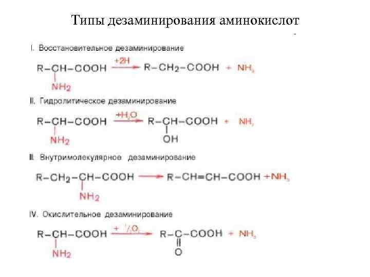 Типы дезаминирования аминокислот 