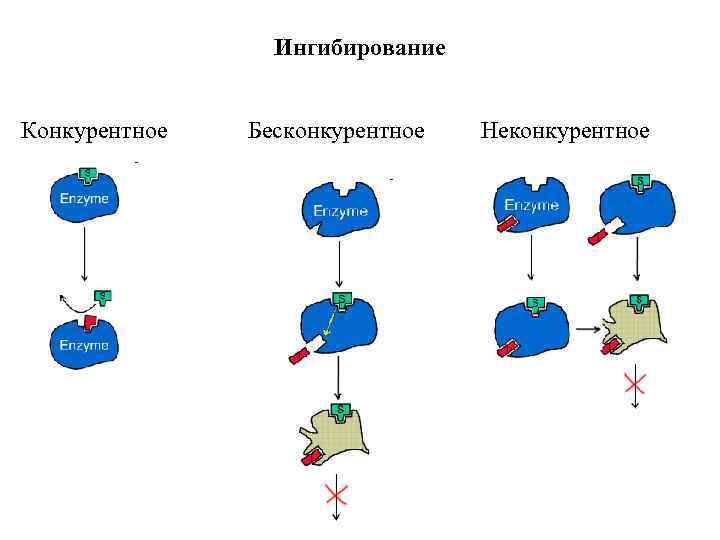 Схема конкурентного ингибирования