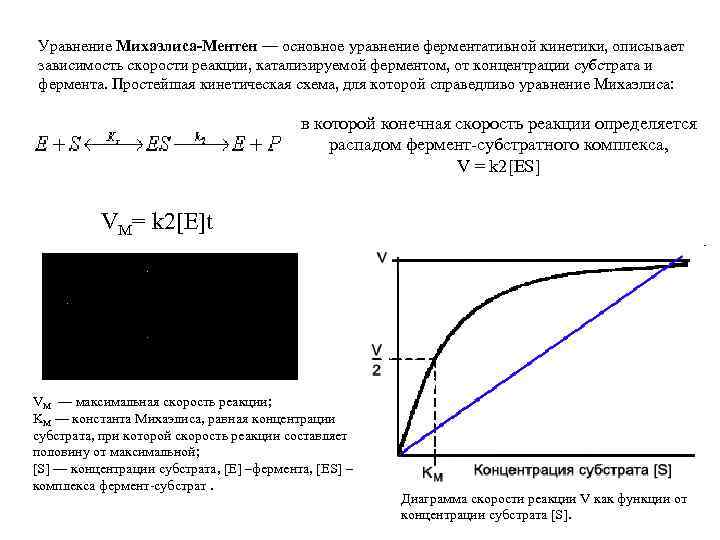 Схема михаэлиса ментен