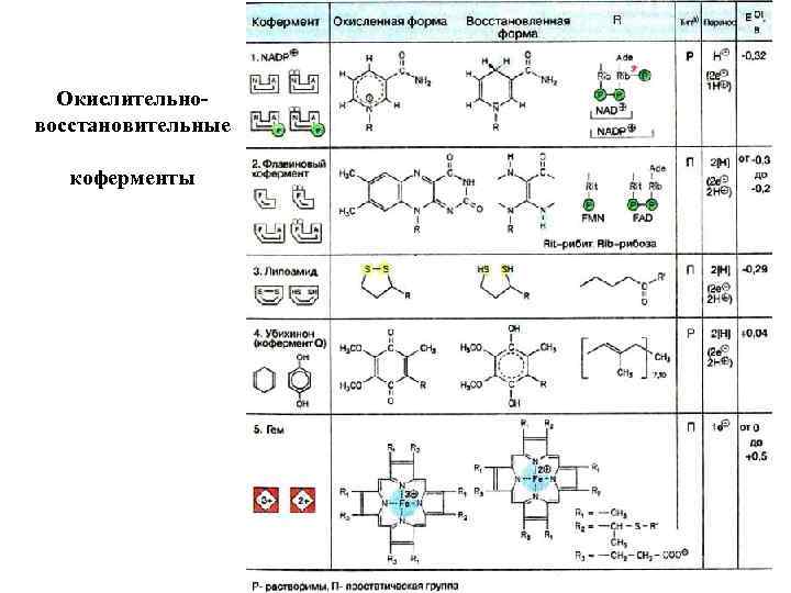 Окислительновосстановительные коферменты 