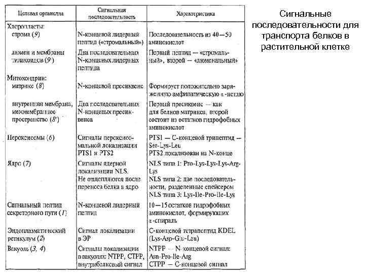 Сигнальные последовательности для транспорта белков в растительной клетке 