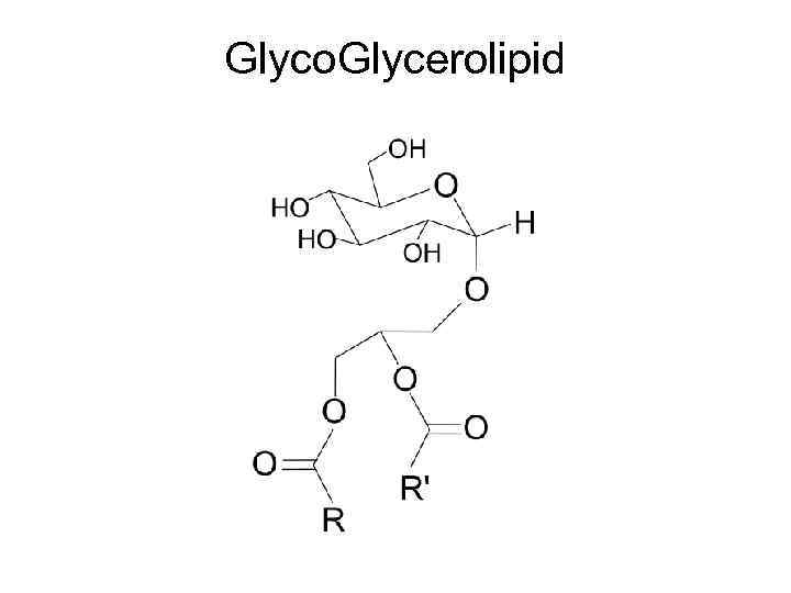 Glyco. Glycerolipid 