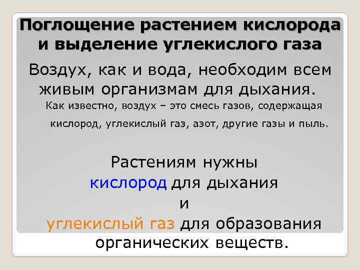 Поглощение растением кислорода и выделение углекислого газа Воздух, как и вода, необходим всем живым