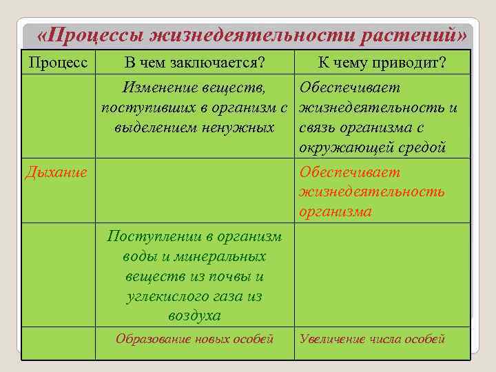 Виды процессов жизнедеятельности растений