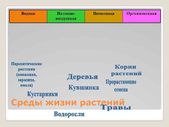 Водная Наземновоздушная Почвенная Среды жизни растений Организменная 