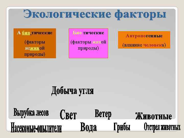 А био тические Био тические (факторы неживой природы) (факторы живой природы) Антропогенные (влияние человека)