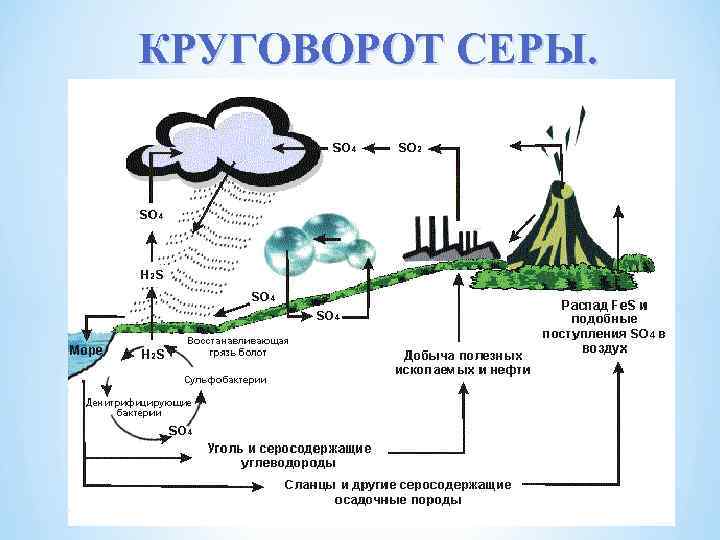 КРУГОВОРОТ СЕРЫ. 